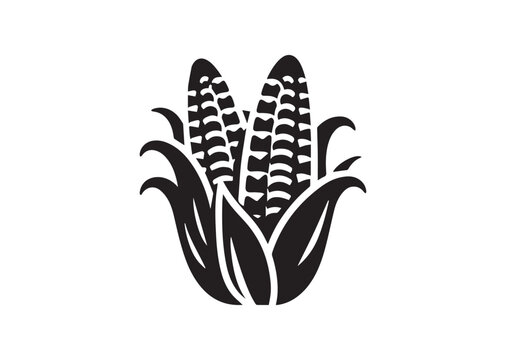 Corn with open husks silhouette vector, Corn with open husks icon illustrator