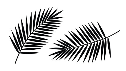 Two black palm fronds on a white background in a simple graphic style