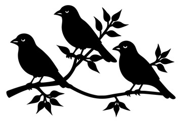 birds on branch vector silhouette illustration