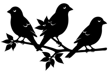 birds on branch vector silhouette illustration