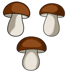 Poster - A charming vector illustration featuring three brown and beige mushrooms, each meticulously detailed with smooth gradients and subtle shading, creating a delightful and whimsical design.