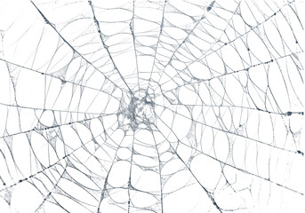 Wall Mural - A detailed spiderweb texture against a stark black backdrop, perfect for Halloween designs and spooky themes, with an intricate arachnid pattern, transparent background