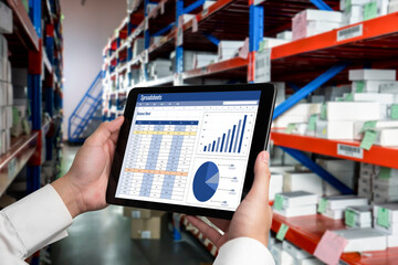 Poster - Spreadsheet document information financial startup concept. data and graphs in spreadsheet documents for online analysis project dashboard accounting digital snugly