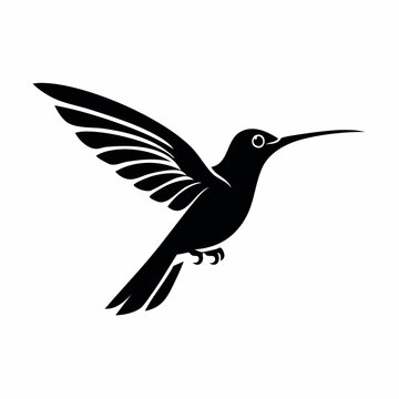 hummingbird black silhouette vector, Simple silhouette Design vector icon with white background. Wild Animal Vector. Bird Vector
