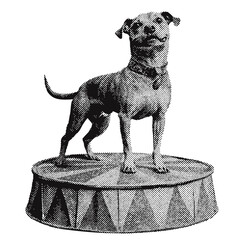 Poster - Circus performing dog halftone grunge vector design element