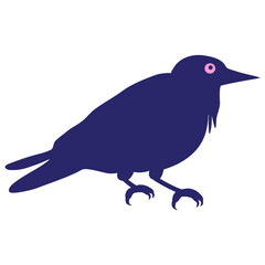 Fototapete - crow in bright neon color