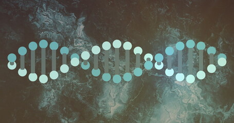 Poster - Displaying DNA helix segments in digital graphic art, with nucleotide circles and bond connectors