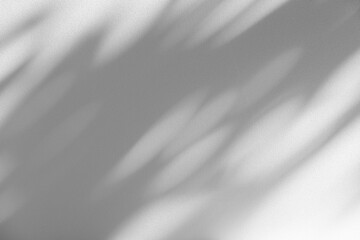 Fototapete - Wall interior background, studio and backdrops show products.with shadow from window color white and grey. background for text insertion and presentation product