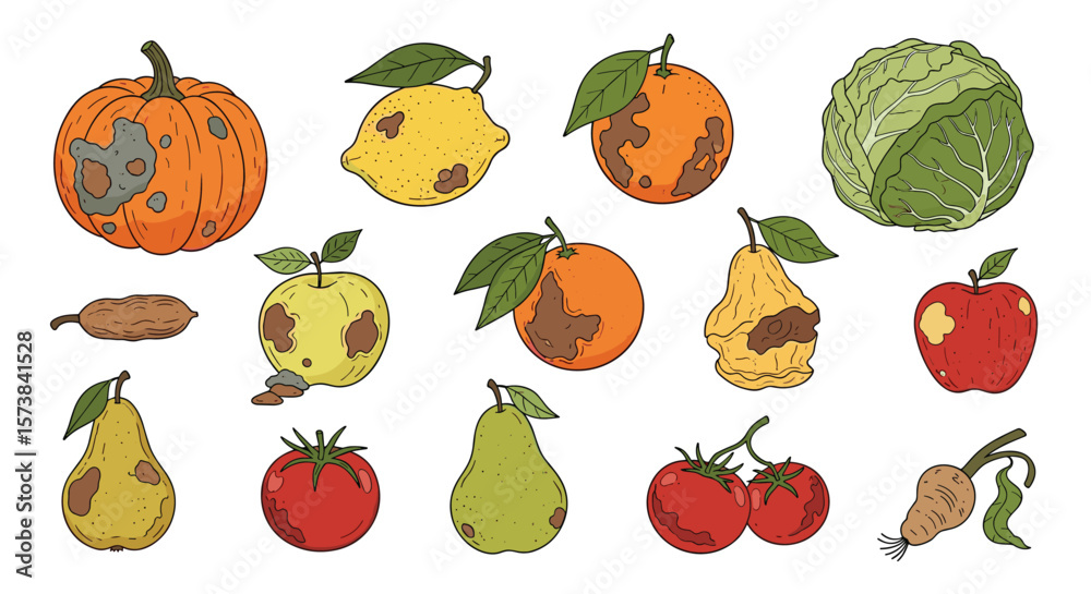Collection of spoiled fruits and vegetables showing signs of decay and ...