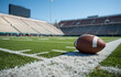© Rosdiana - American Football on Grass Near Goal Line in Daylight Stadium with Clear Sky