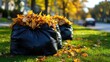 © flow art 7 - Black garbage bags filled with autumn leaves are lined up on a grassy sidewalk beside a residential street in fall.