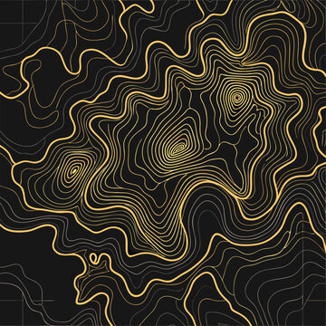 topographic line contour map background, geographic grid map