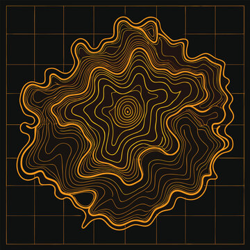 topographic line contour map background, geographic grid map