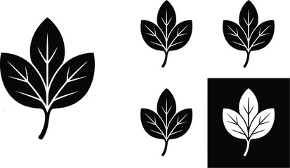 Fototapete - A monochrome illustration of three leaves with veins in a circular frame and square variations too