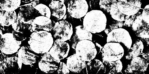 Poster - Dappled light through forest leaves texture for distressed design overlay