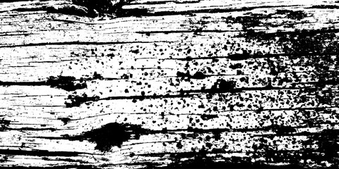 Poster - Weathered railroad tie wood texture with deep grooves for rustic designs