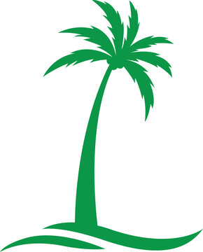 palm tree vector illustration