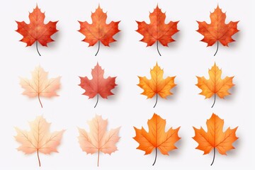 Poster - Realistic maple leaves representing autumn colors, from orange to red to pale cream, isolated on white background