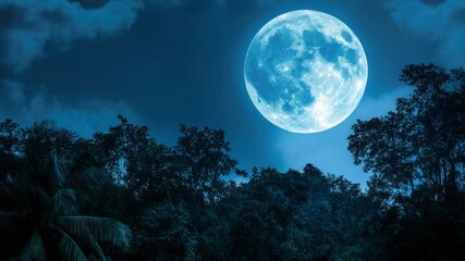 Wall Mural - a bright full moon illuminates the dark night sky, perfect for use in astronomy or nature scenes