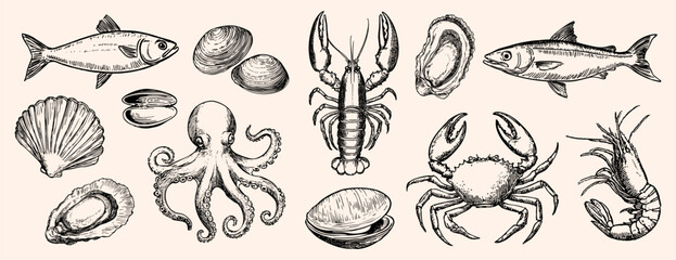 Poster - Vintage seafood illustration collection, element vector set