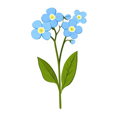 Poster - Blue Forget-Me-Not Flower flower forget-me-not illustration vector