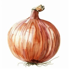Poster - Detailed watercolor painting of a single ripe onion, showcasing its texture and color on a clean white background