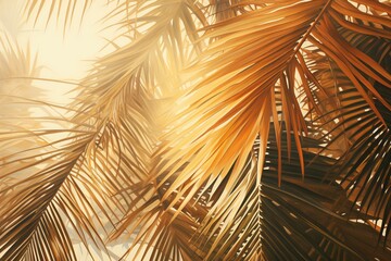 Poster - Golden palm leaves filter the sunlight, creating a warm and tropical background