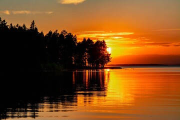 Wall Mural - Sunset over a tranquil lake with silhouetted trees.
