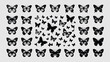 © Trendy Motion - Assorted Black Butterfly Silhouettes in Rows and Clusters Against Light Background Illustration