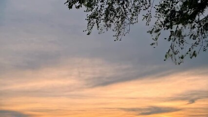 Wall Mural - Golden evening sky glowing, silhouetting bare tree branches with warm orange yellow sunset colors, highlighting tranquil landscape