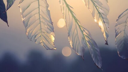 Wall Mural - delicate backlit leaves swaying gently, golden morning sunlight filtering through verdant foliage, i