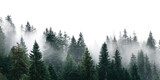 smoky or foggy dark pine forest landscape with sky isolated on white or transparent png