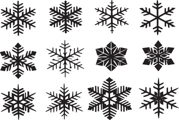 Poster - A collection of twelve unique snowflake designs in a grid arrangement