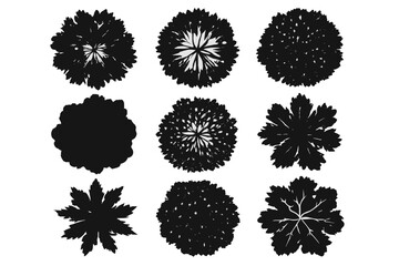 Poster - Variety of artistic black silhouettes representing different leaf shapes and designs suitable for various creative projects