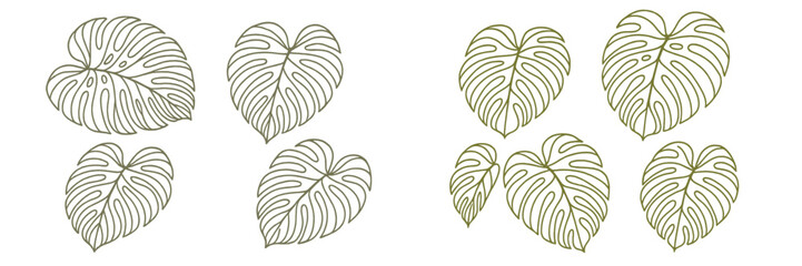 Poster - Monstera leaf designs in various shapes and styles for botanical illustration and artistic projects