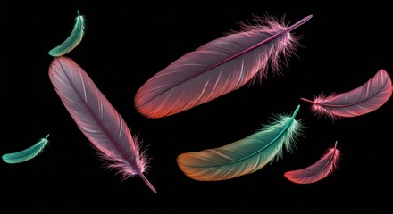 Poster - Elegant ethereal feathers floating in the dark gradient with soft textured details