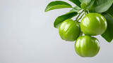 Fresh garcinia atroviridis fruit isolated on transparent background