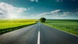 © Emma - empty road through green fields