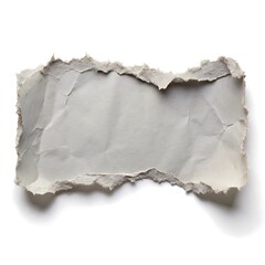 Poster - Isolated Torn Paper Scrap on White Background Showing Texture and Detail