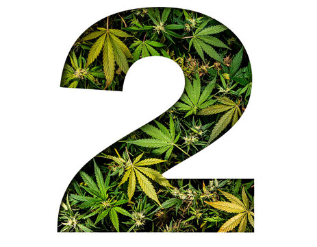 Collage Style Cannabis Leaf Number 2 with Shadow Depth, isolated on transparent background