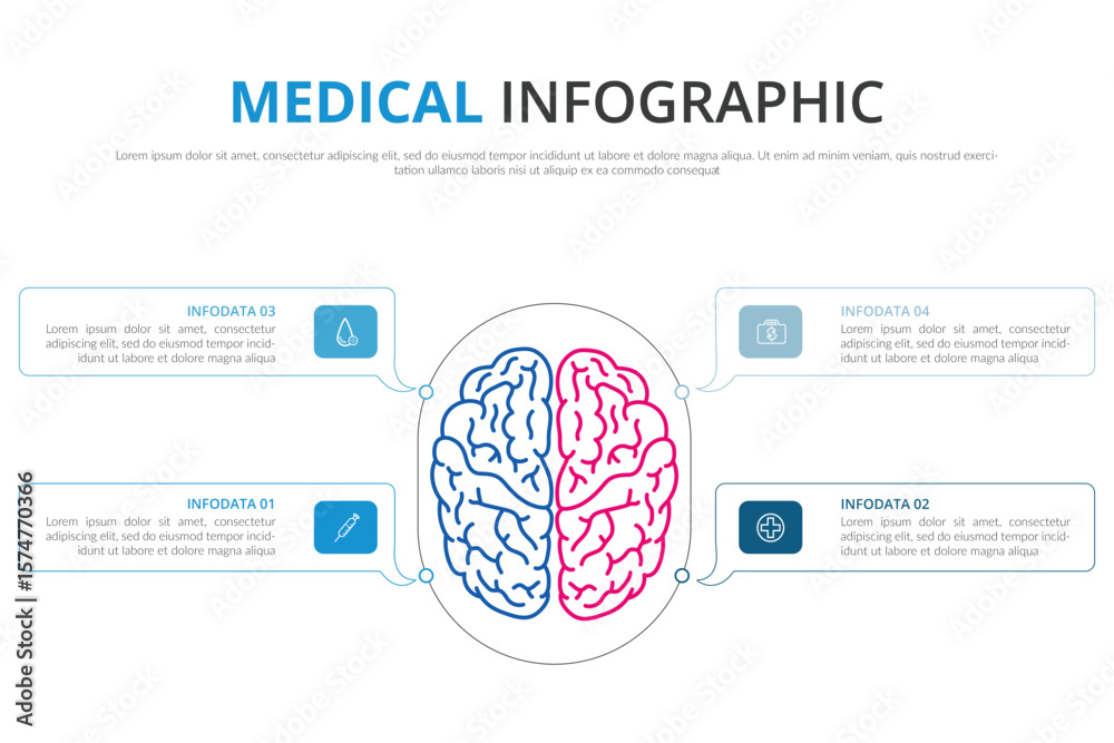 Brain sections and organ part functions in labeled anatomical outline ...