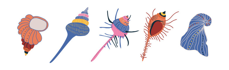 Poster - Colorful Tropical Shell as Underwater Sea Bottom Element Vector Set