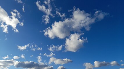 Wall Mural - photo of light blue and sky with few clouds