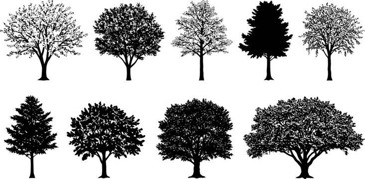 Collection of tree silhouettes vector set for landscape design and architectural rendering elements