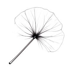 Poster - A stylized illustration of a single leaf with intricate veins on a stark black background on transparent background