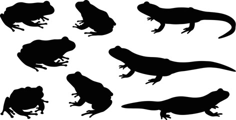 Poster - Black silhouettes of frogs and salamanders vector illustration amphibian animals wildlife background