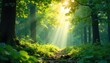 © Latsamee - Sunbeams filtering through leaves create a dazzling, ethereal light effect in a lush forest scene Perfect for nature, fantasy, and serenity themes , calm, mystery