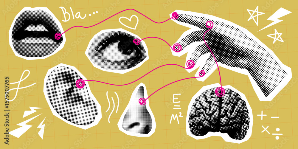 pop art collage of human senses, lip eye ear nose brain and hand ...
