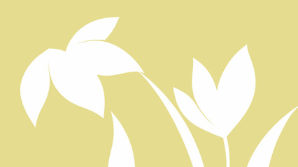 Poster - Abstract white flowers in a minimalist composition on a light green background