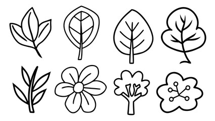 Poster - Hand-drawn leaf and floral vector illustrations with clean bold lines for various design applications